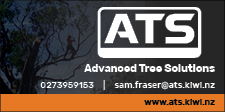 Advanced Tree Solutions